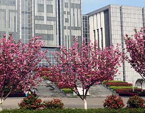 黃山學(xué)院消防主機(jī)集中校內(nèi)網(wǎng)管理平臺定制版